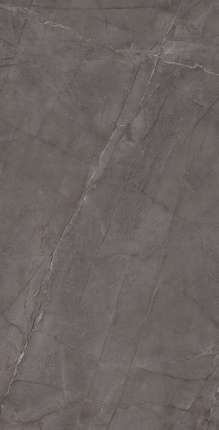 Dali Ceramico Monolyth Grey Glossy 60x120