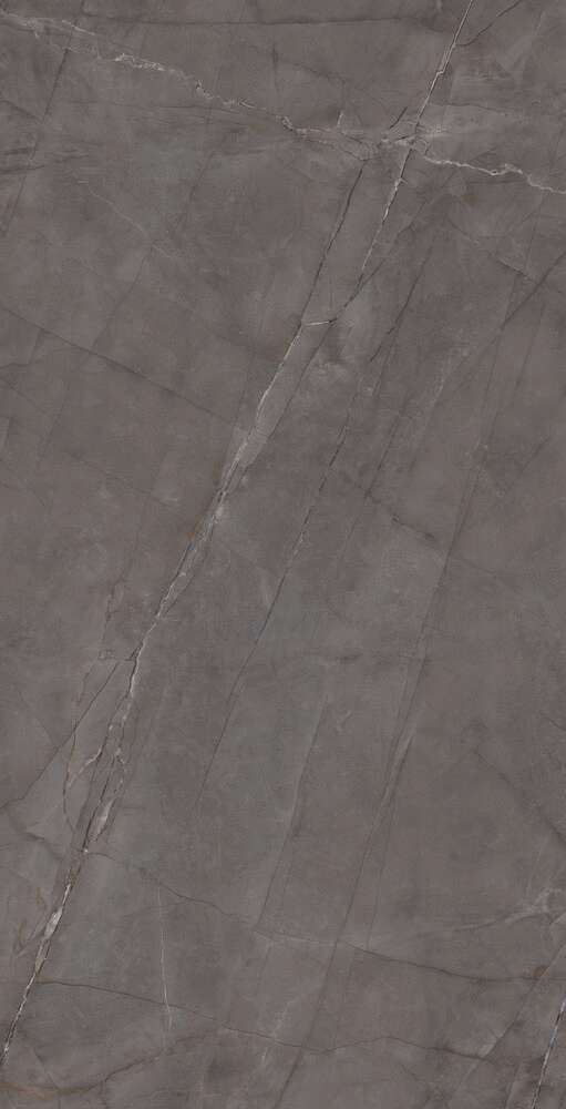 Grey Glossy 60x120 (600x1200)