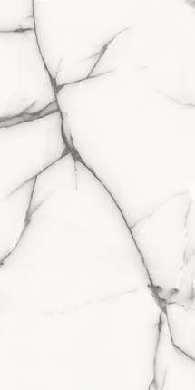 Dali Ceramico Onyx Gris Glossy 60x120