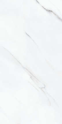 Dali Ceramico Stattuario Grand Glossy 60x120