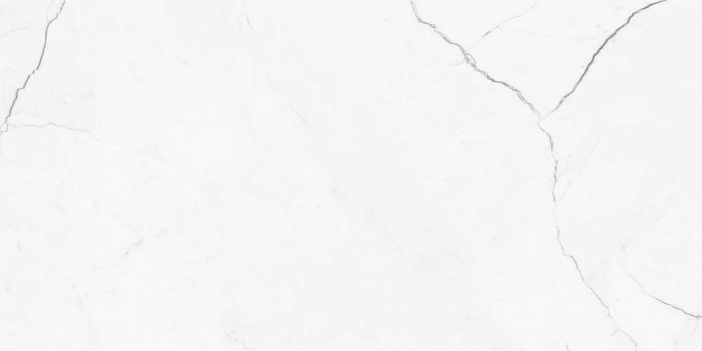 White Matt 60x120 (1200x600)