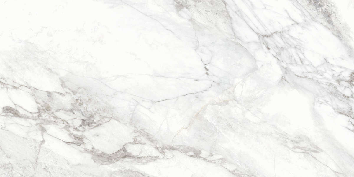 Carrara  60x120 (1200x600)
