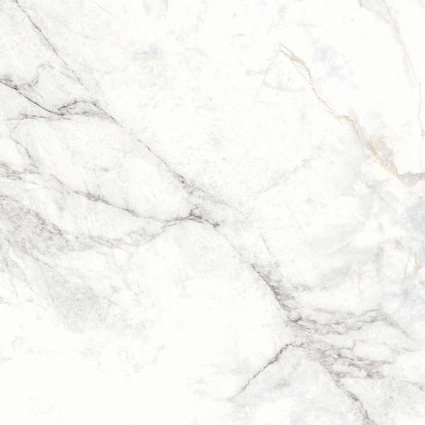 Delacora Bahamas Carrara  60x60 -2