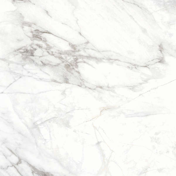Delacora Bahamas Carrara  60x60 -4