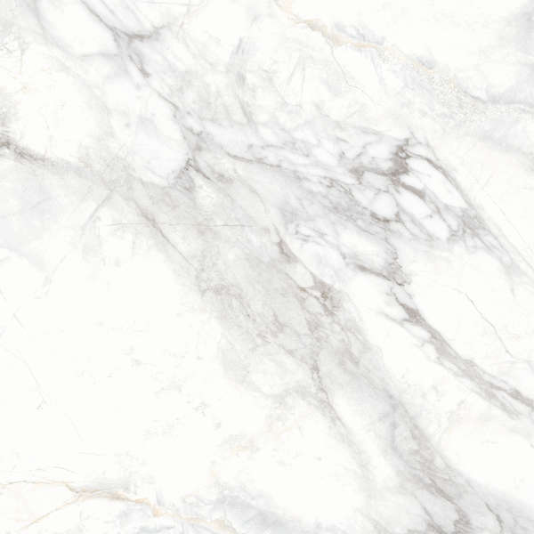 Delacora Bahamas Carrara  60x60 -8