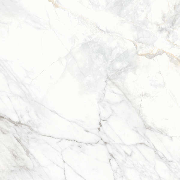 Delacora Bahamas Carrara  60x60 -9