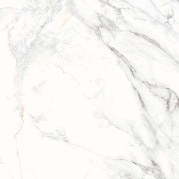 Delacora Bahamas Carrara  60x60 -11