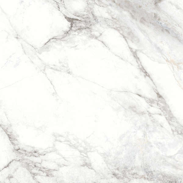 Delacora Bahamas Carrara  60x60 -14