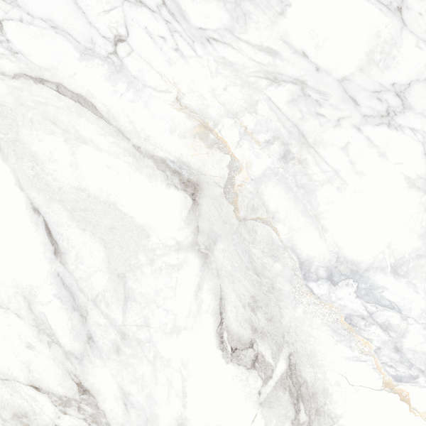 Delacora Bahamas Carrara  60x60 -16