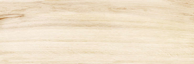 Wood (740x246)