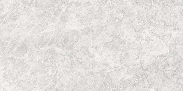 Gris   30x60 9.5 (600x300)