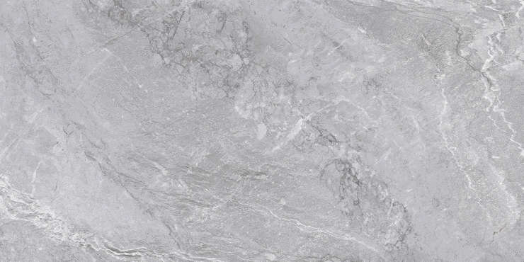 Delacora Wild Light  60x120