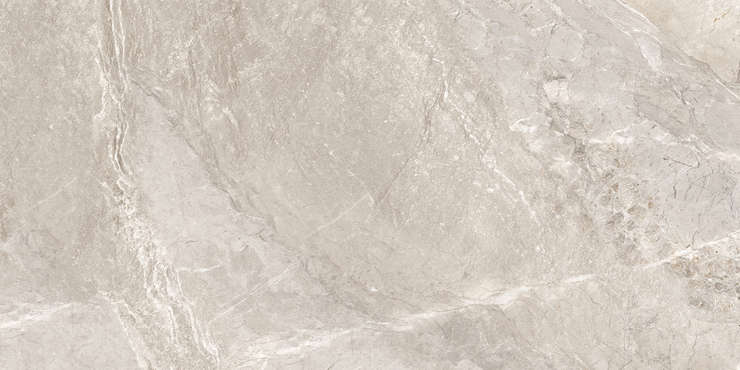 Delacora Wild Gold  60x120