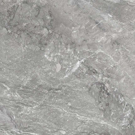 Delacora Wild Dark   60x60