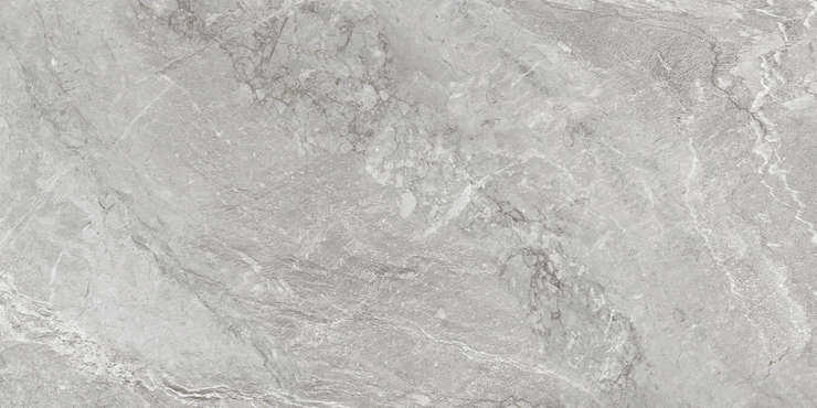 Delacora Wild Light  60x120