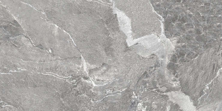 Delacora Wild Dark  60x120