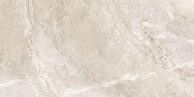 Delacora Wild Gold  60x120