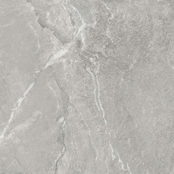 Delacora Wild Light  60x60 -5