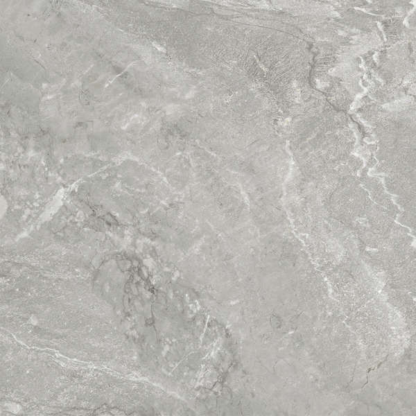 Delacora Wild Light  60x60 -10