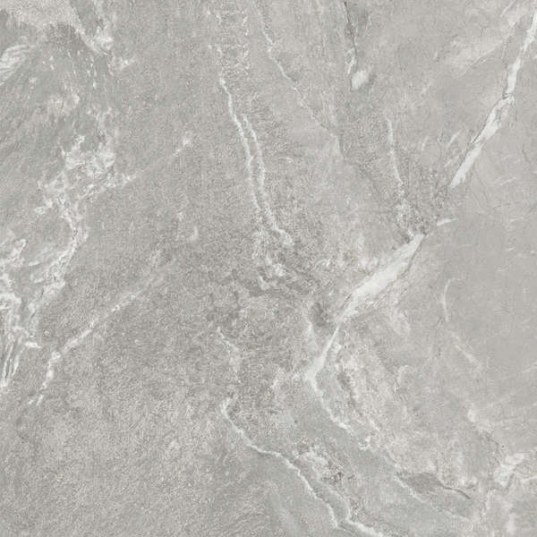 Delacora Wild Light  60x60 -12