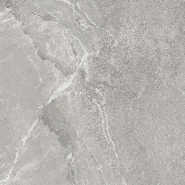 Delacora Wild Light  60x60 -15