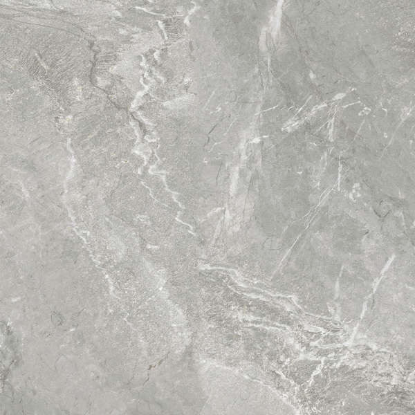 Delacora Wild Light  60x60 -16