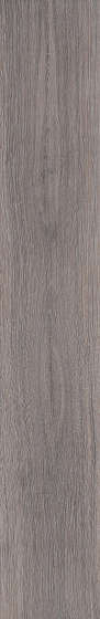Taupe (200x1200)