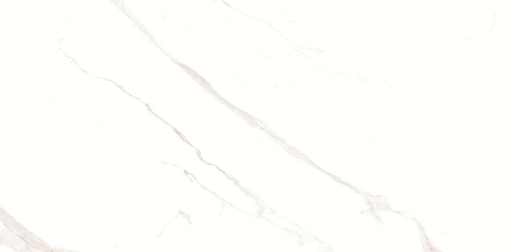 White Matt 60x120 (1200x600)