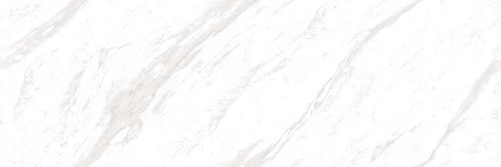 Ennface Slab Silver Silk Dg Matt 15 mm 80x240 -2