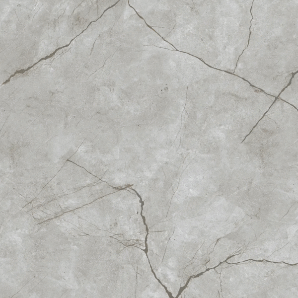 Eurotile Kanpur Matt 60x60 -2