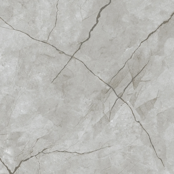 Eurotile Kanpur Matt 60x60 -3