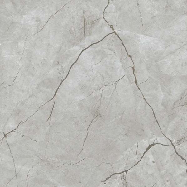 Eurotile Kanpur Matt 60x60 -4