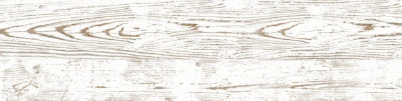 GP White 14.7x59.4 (594x147)