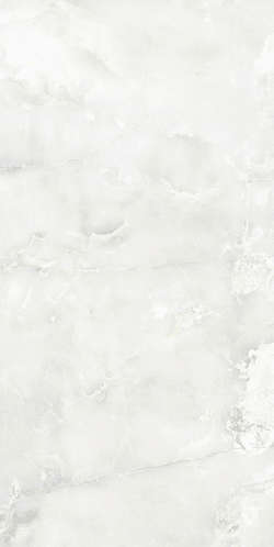 Eurotile Selesta Light Grey 0008 25x50 -4