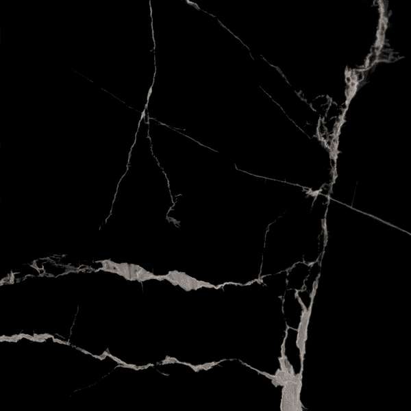 Eurotile Statuario Black Pol 60x60 ����-2