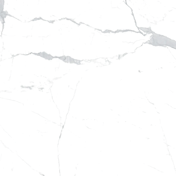 Eurotile Statuario Fond Satin 60x60 -4