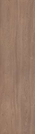 Exterior Ceramica Arch Rock Collection Teak Brown Milagro Mat 15 mm 80x300