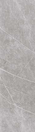 Exterior Ceramica Arch Rock Collection Pietra Grey Brillo High Gloss 15 mm 80x300
