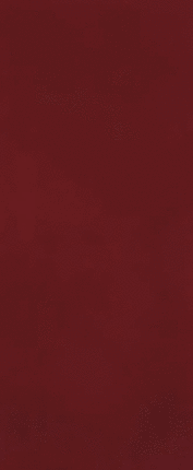 FAP Ceramiche Materia Brillante Borgogna Brillante RT 50x120