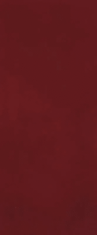 Borgogna Brillante RT 50x120 (500x1200)