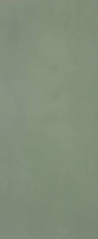 Bosco Brillante RT 50x120 (500x1200)