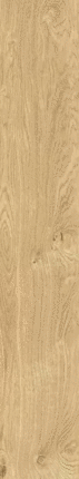 FAP Ceramiche Plein Air Gold Matt R9 20x120 RT