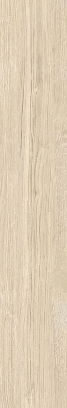 Light Matt R9 20x120 RT (200x1200)