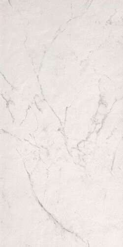 80x160 Carrara Delicato Matt (800x1600)