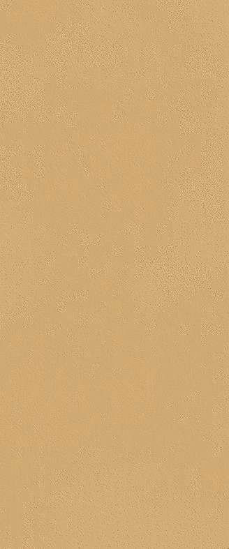 Caramel 50x120 Matt RT (500x1200)