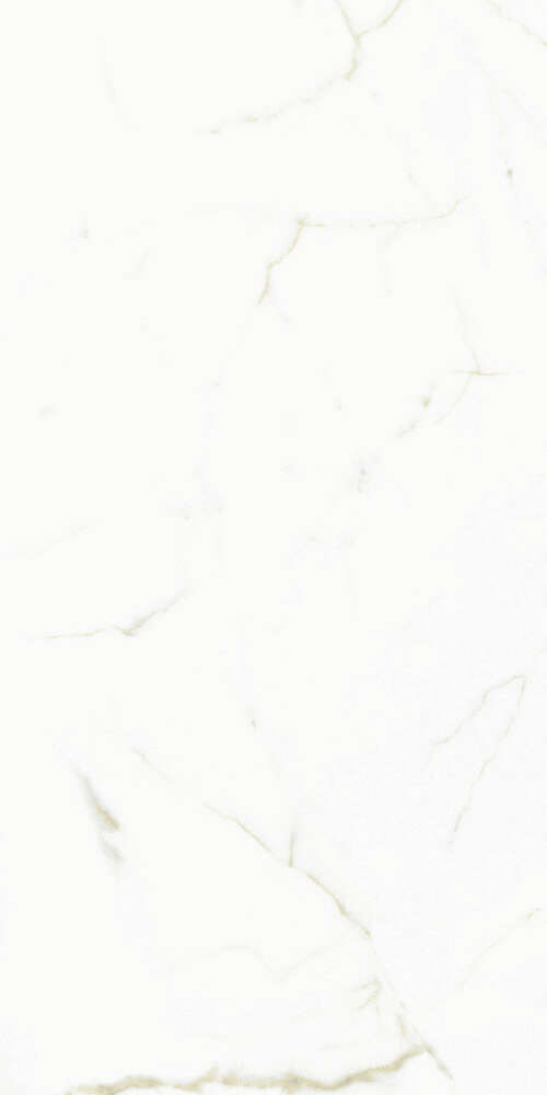 FMG White Calacatta Select Marmi Luc 60x120 -3