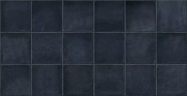 Plus Navy 32x62.5 (625x320)