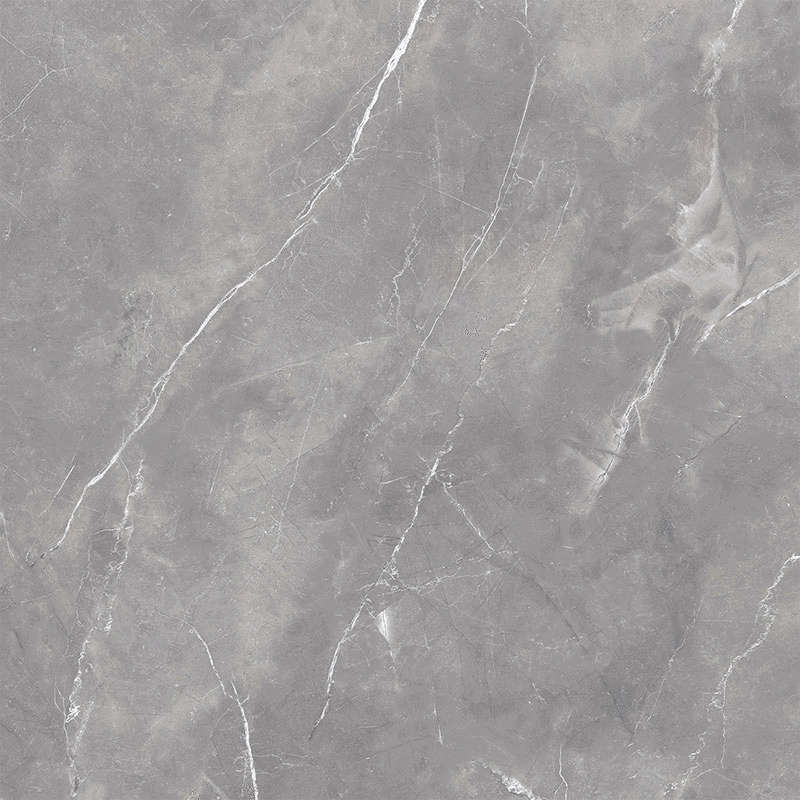 Gris 90x90 Polished (900x900)