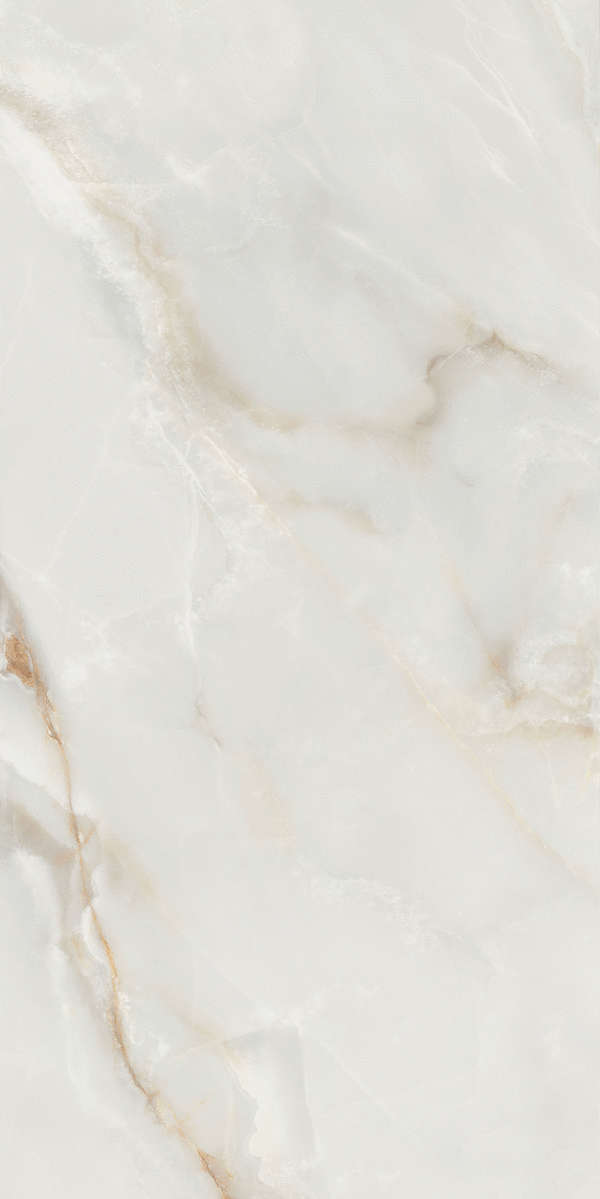 Global Tile Bloom  60x120  (  +  ) -4