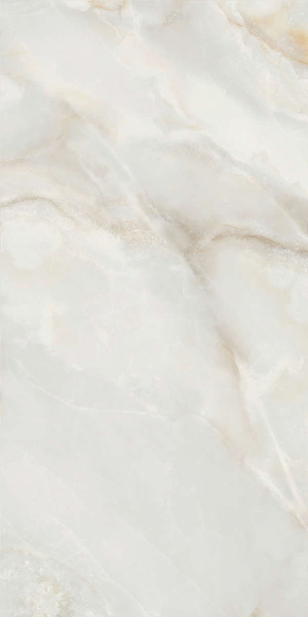 Global Tile Bloom  60x120  (  +  ) -5